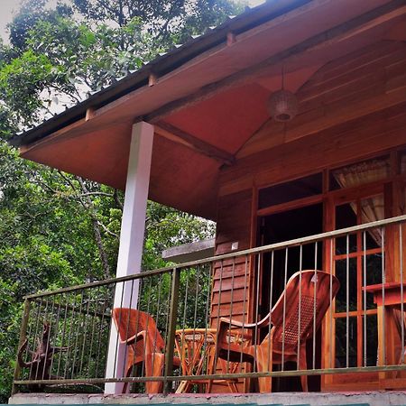 Ella Green Cottages Ngoại thất bức ảnh