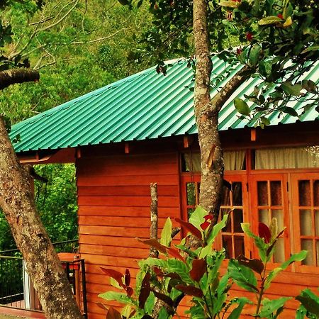 Ella Green Cottages Ngoại thất bức ảnh