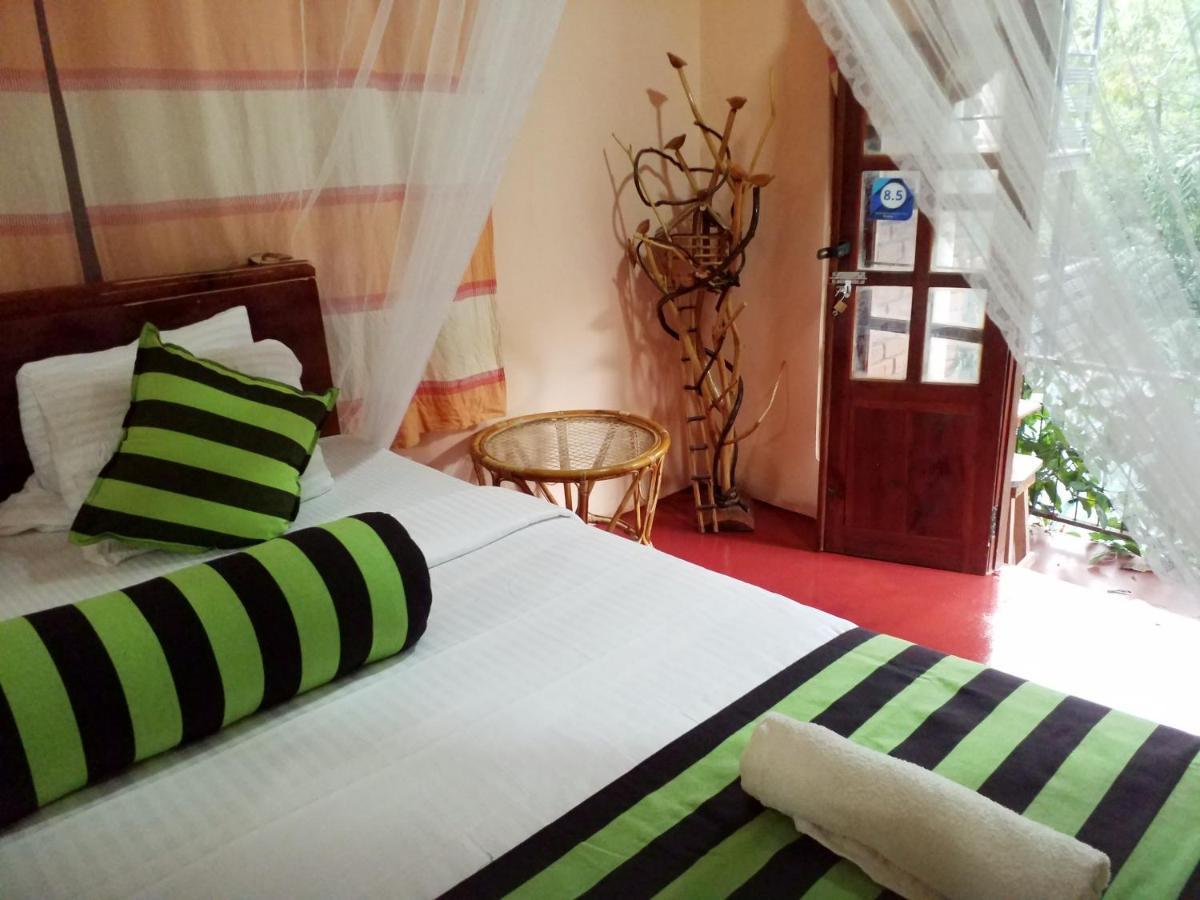 Ella Green Cottages Ngoại thất bức ảnh