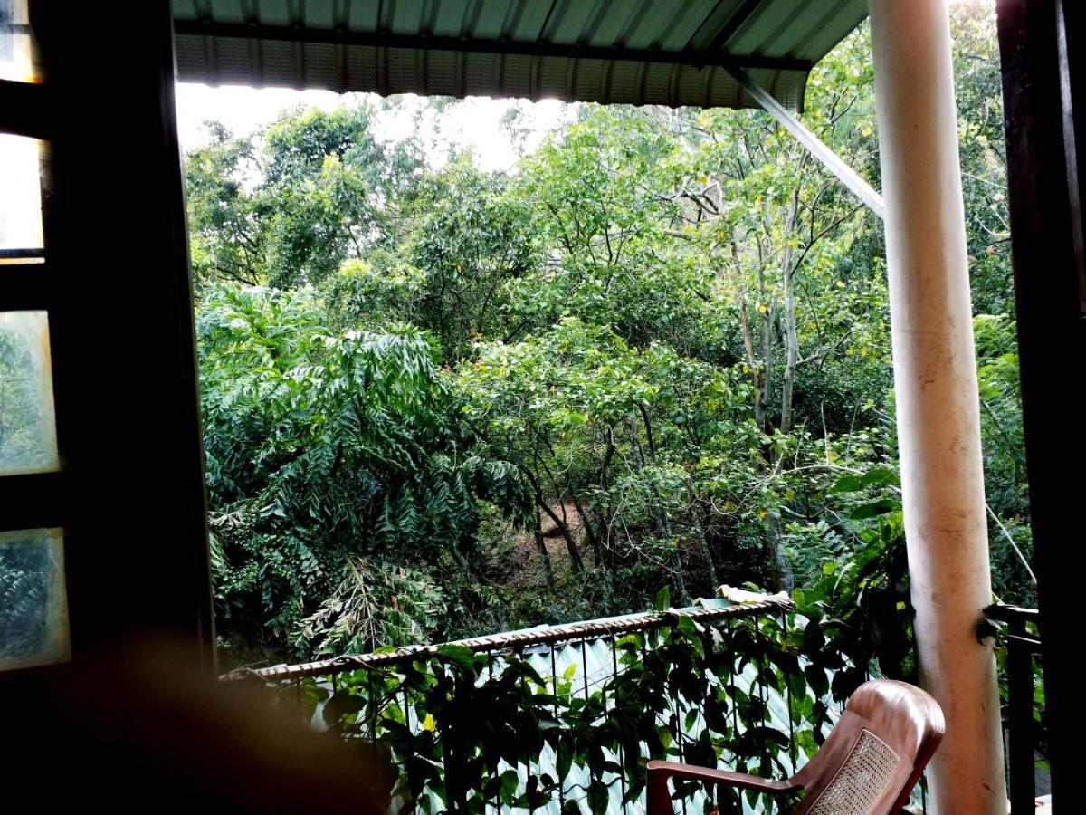 Ella Green Cottages Ngoại thất bức ảnh