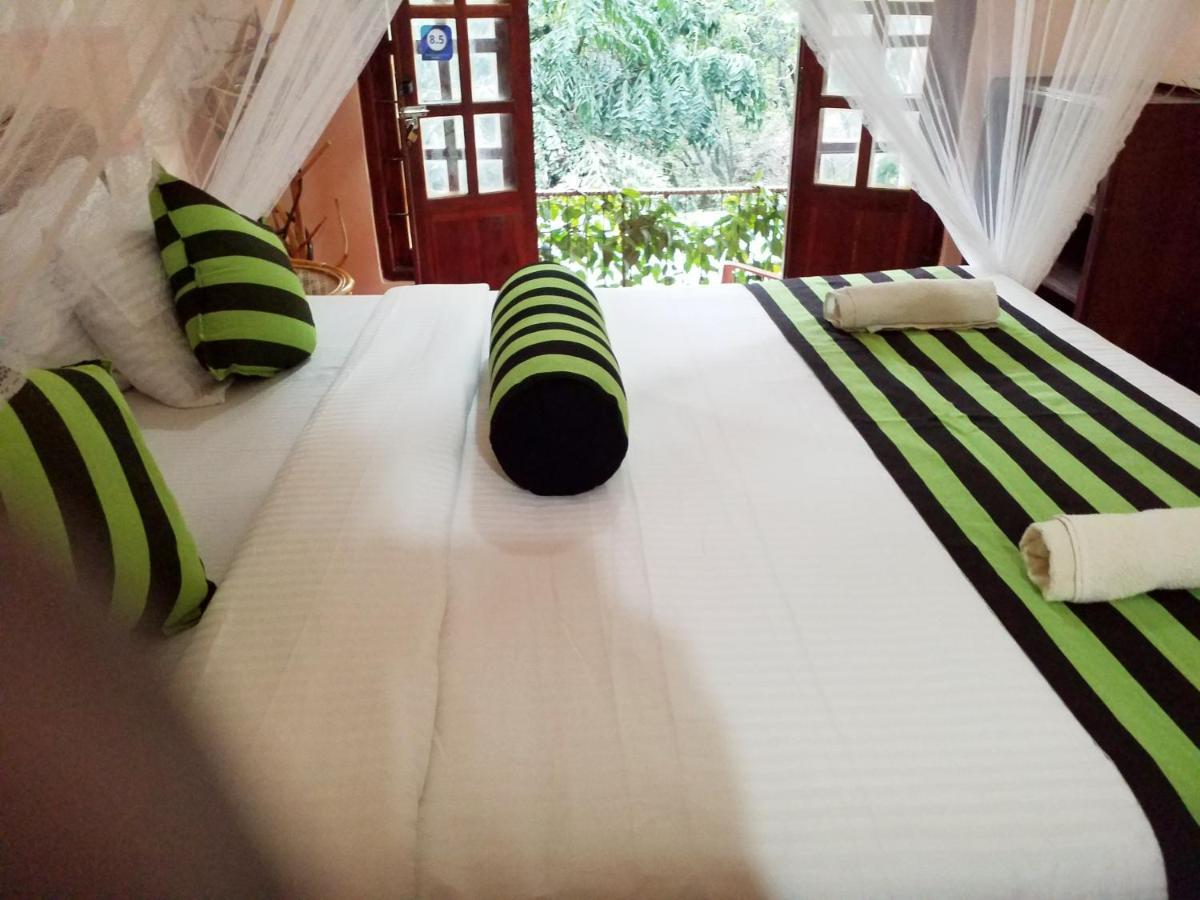 Ella Green Cottages Ngoại thất bức ảnh