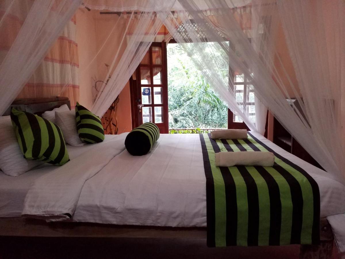 Ella Green Cottages Ngoại thất bức ảnh