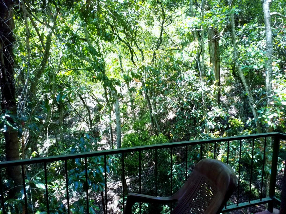Ella Green Cottages Ngoại thất bức ảnh