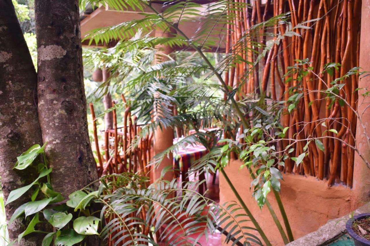 Ella Green Cottages Ngoại thất bức ảnh