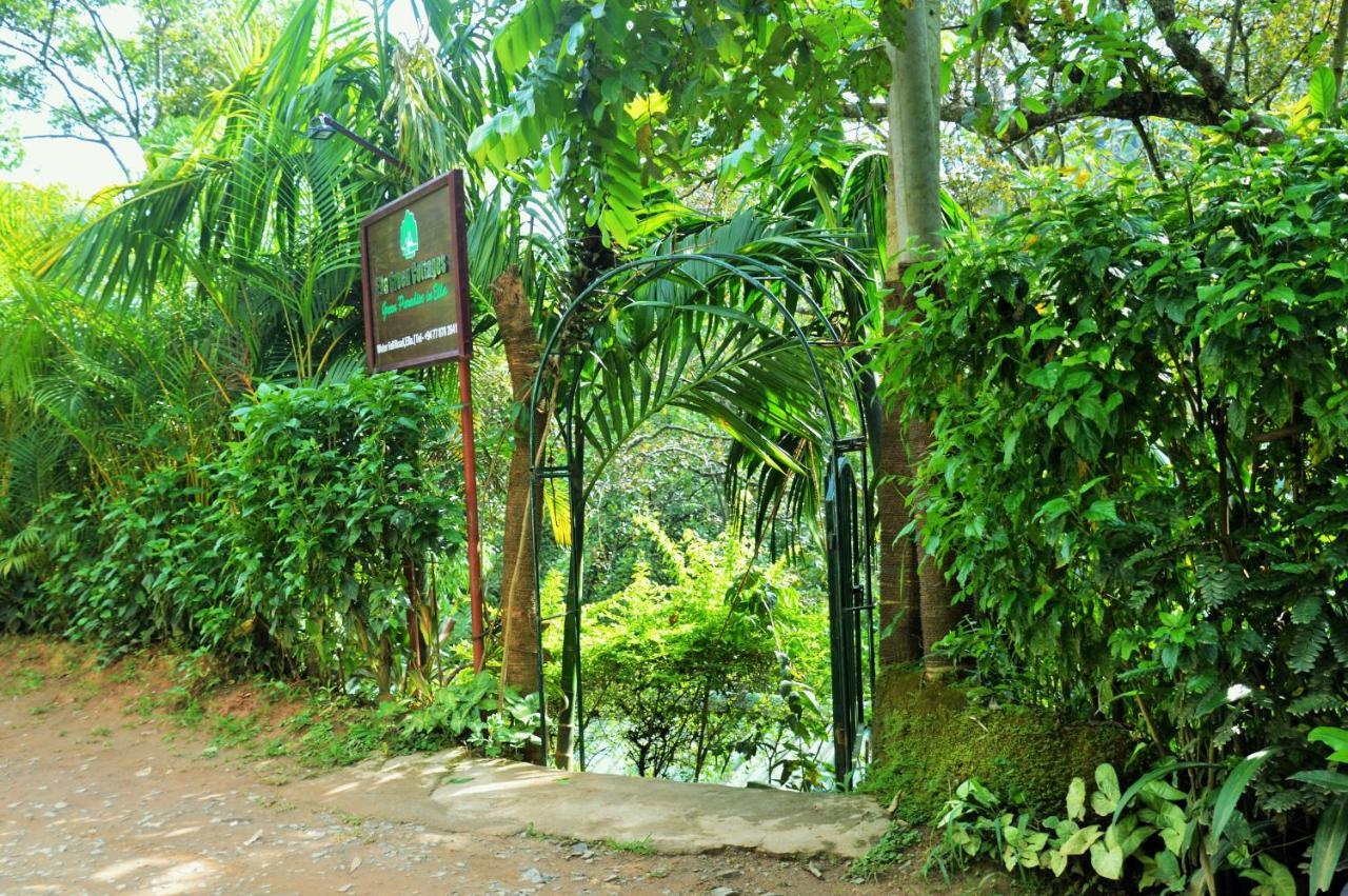 Ella Green Cottages Ngoại thất bức ảnh