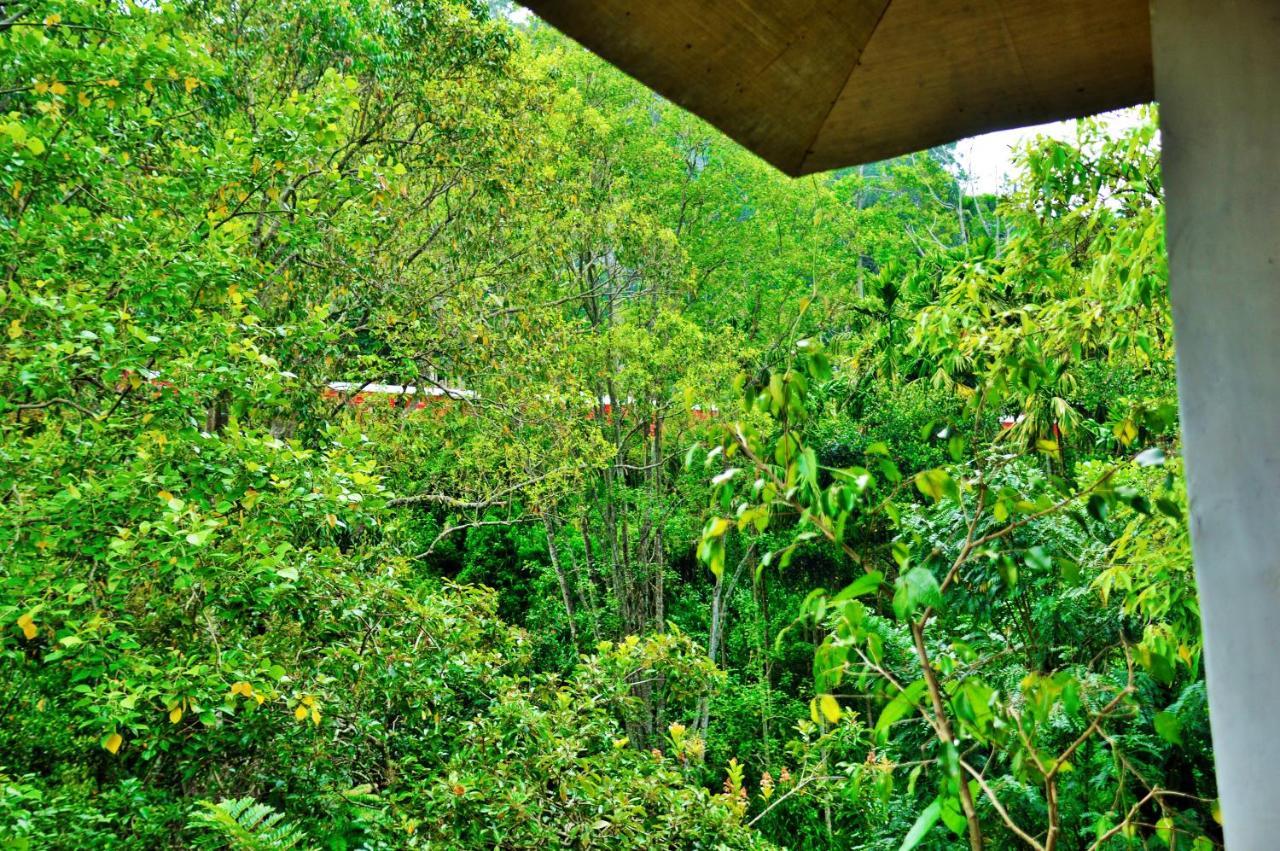 Ella Green Cottages Ngoại thất bức ảnh