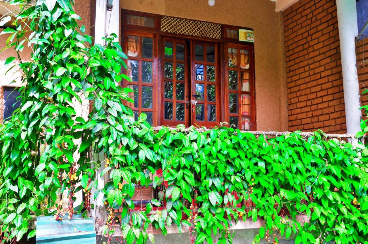 Ella Green Cottages Ngoại thất bức ảnh
