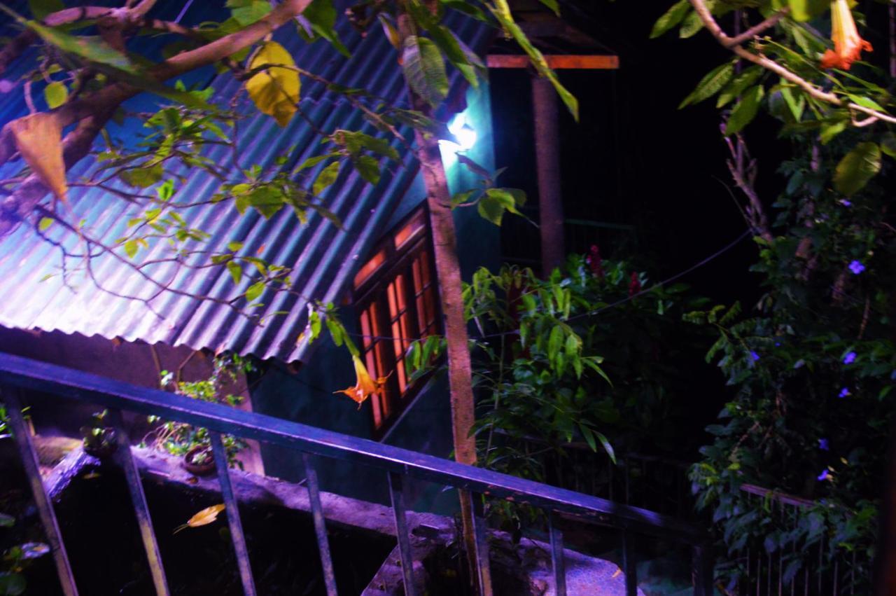 Ella Green Cottages Ngoại thất bức ảnh