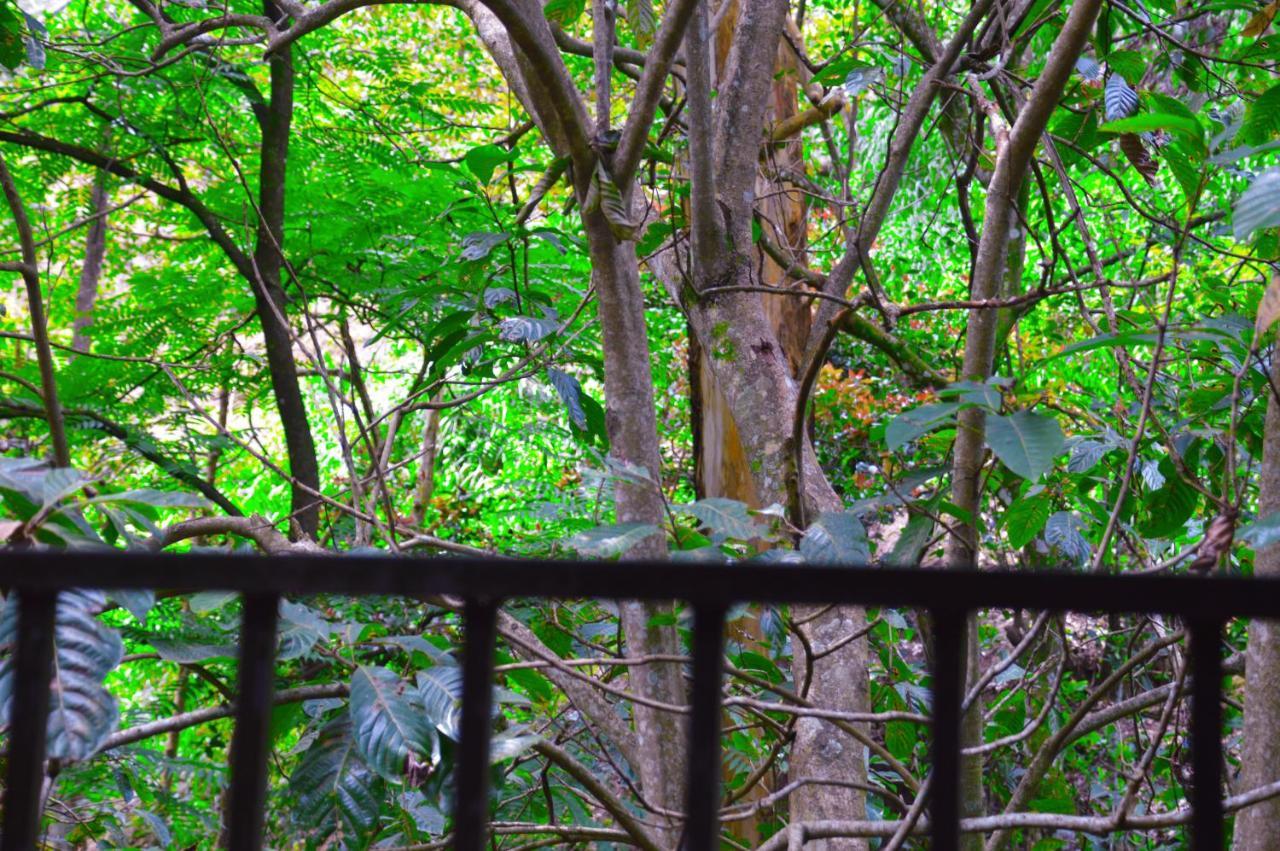 Ella Green Cottages Ngoại thất bức ảnh