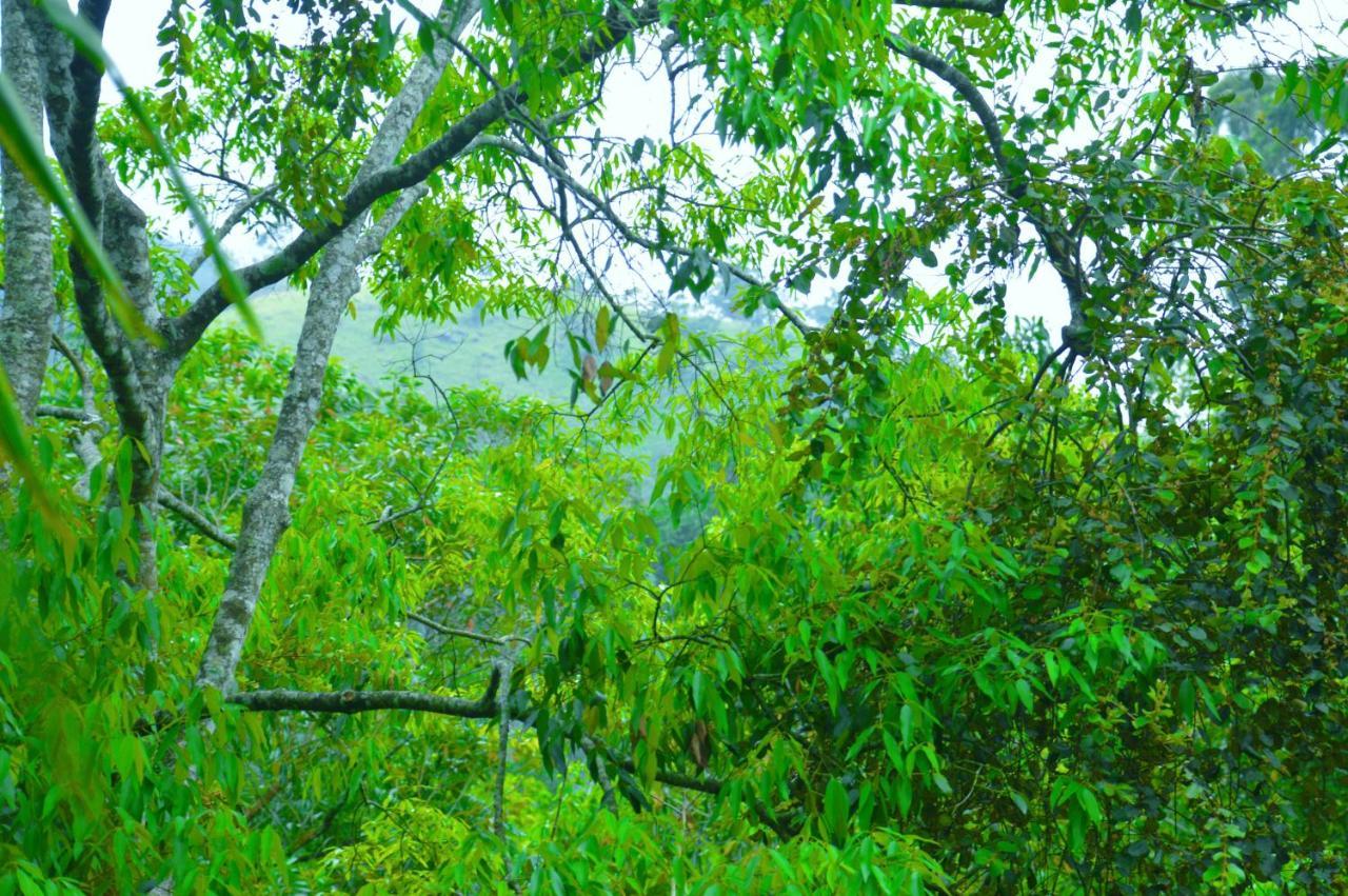 Ella Green Cottages Ngoại thất bức ảnh