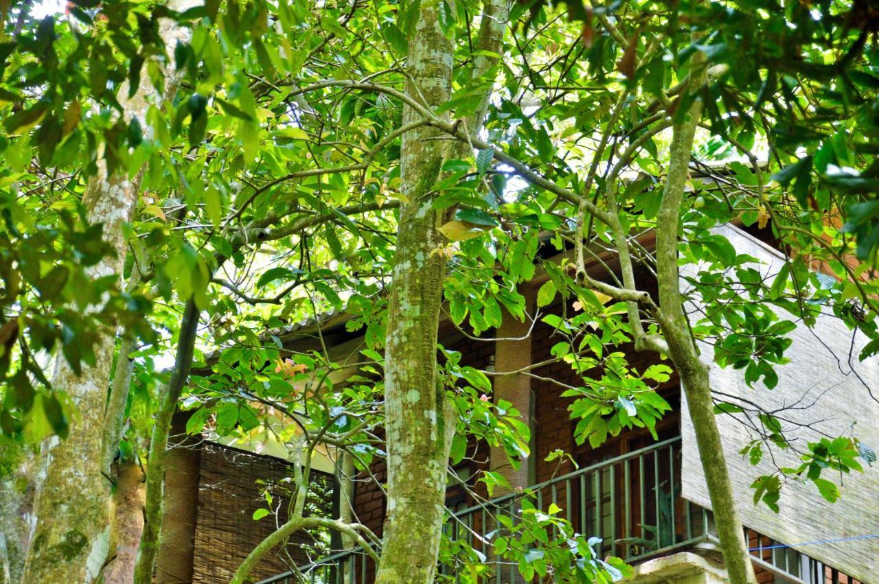 Ella Green Cottages Ngoại thất bức ảnh