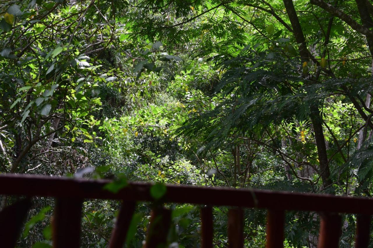 Ella Green Cottages Ngoại thất bức ảnh