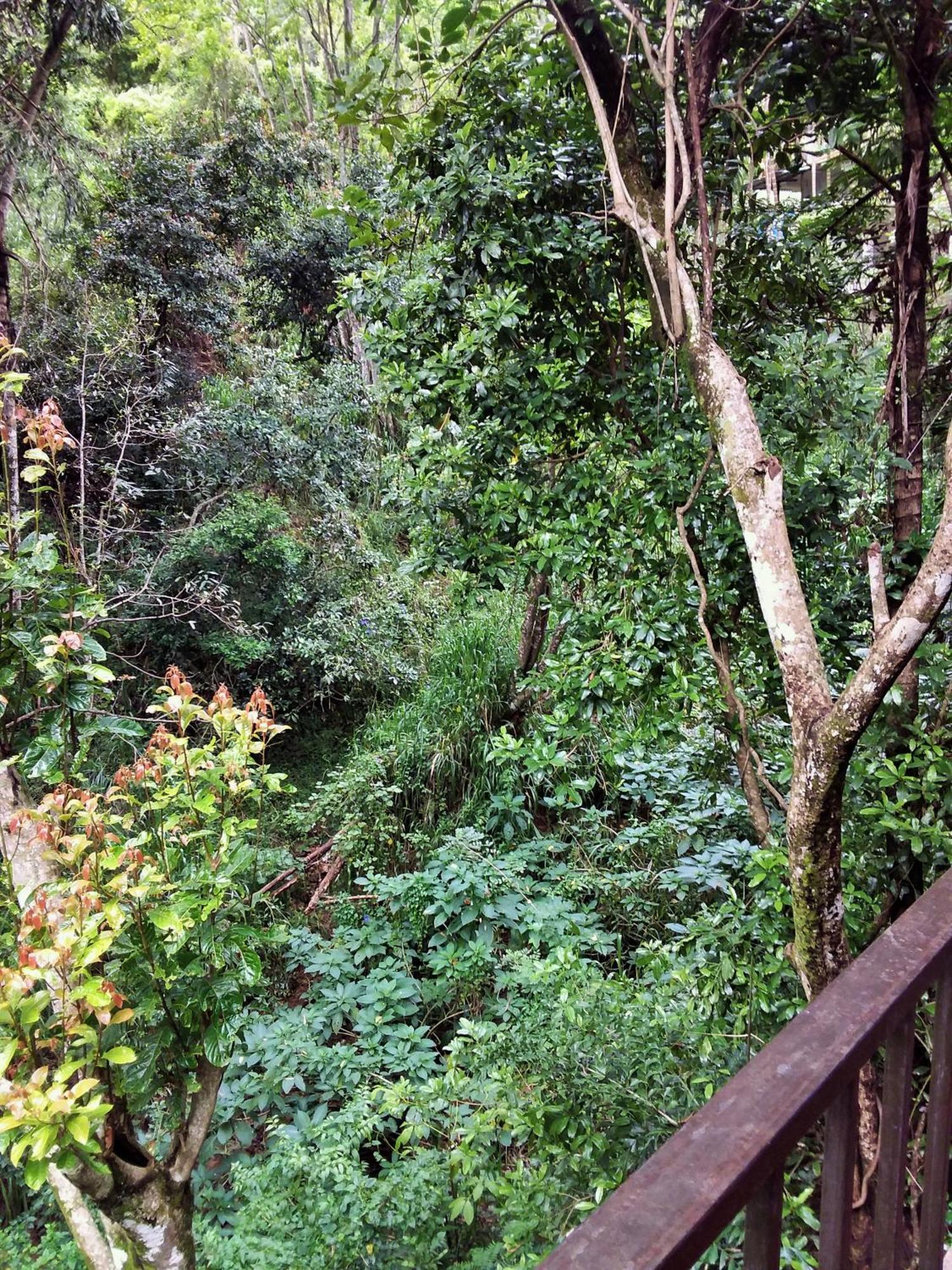 Ella Green Cottages Ngoại thất bức ảnh