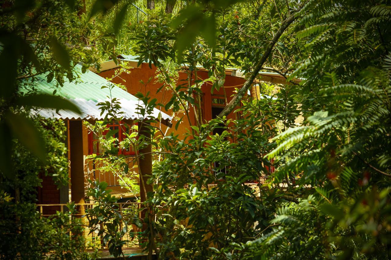 Ella Green Cottages Ngoại thất bức ảnh