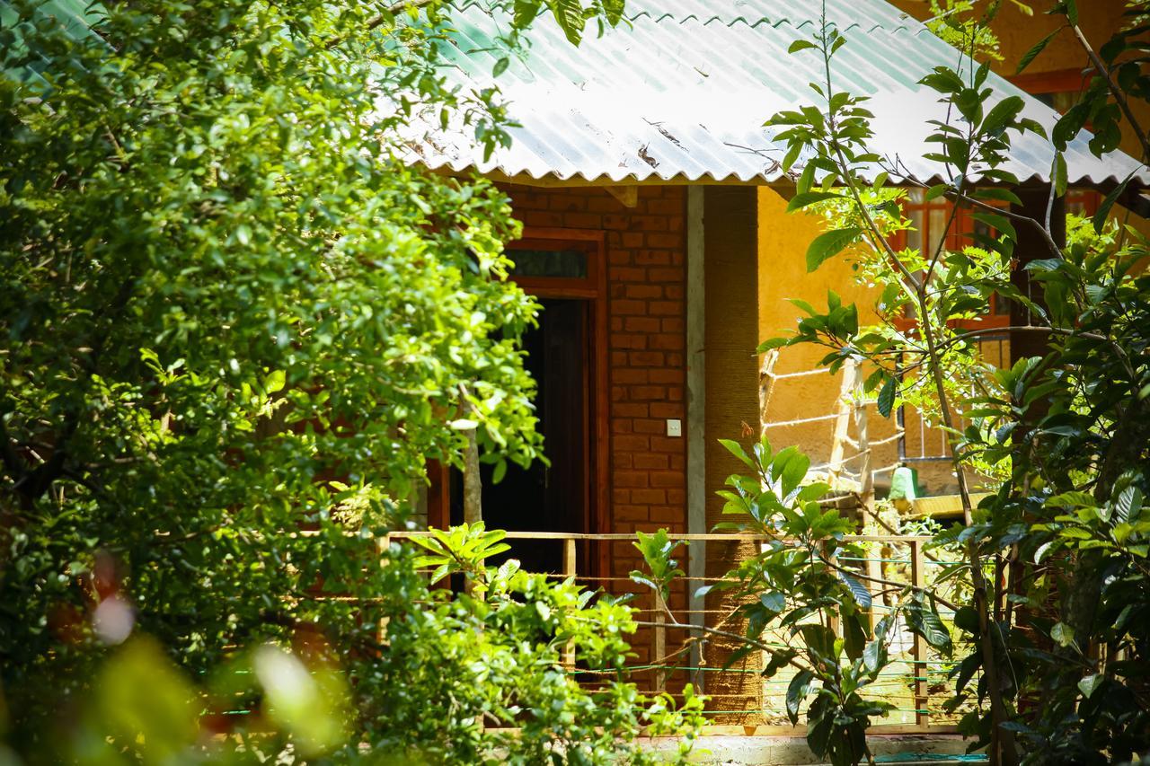 Ella Green Cottages Ngoại thất bức ảnh