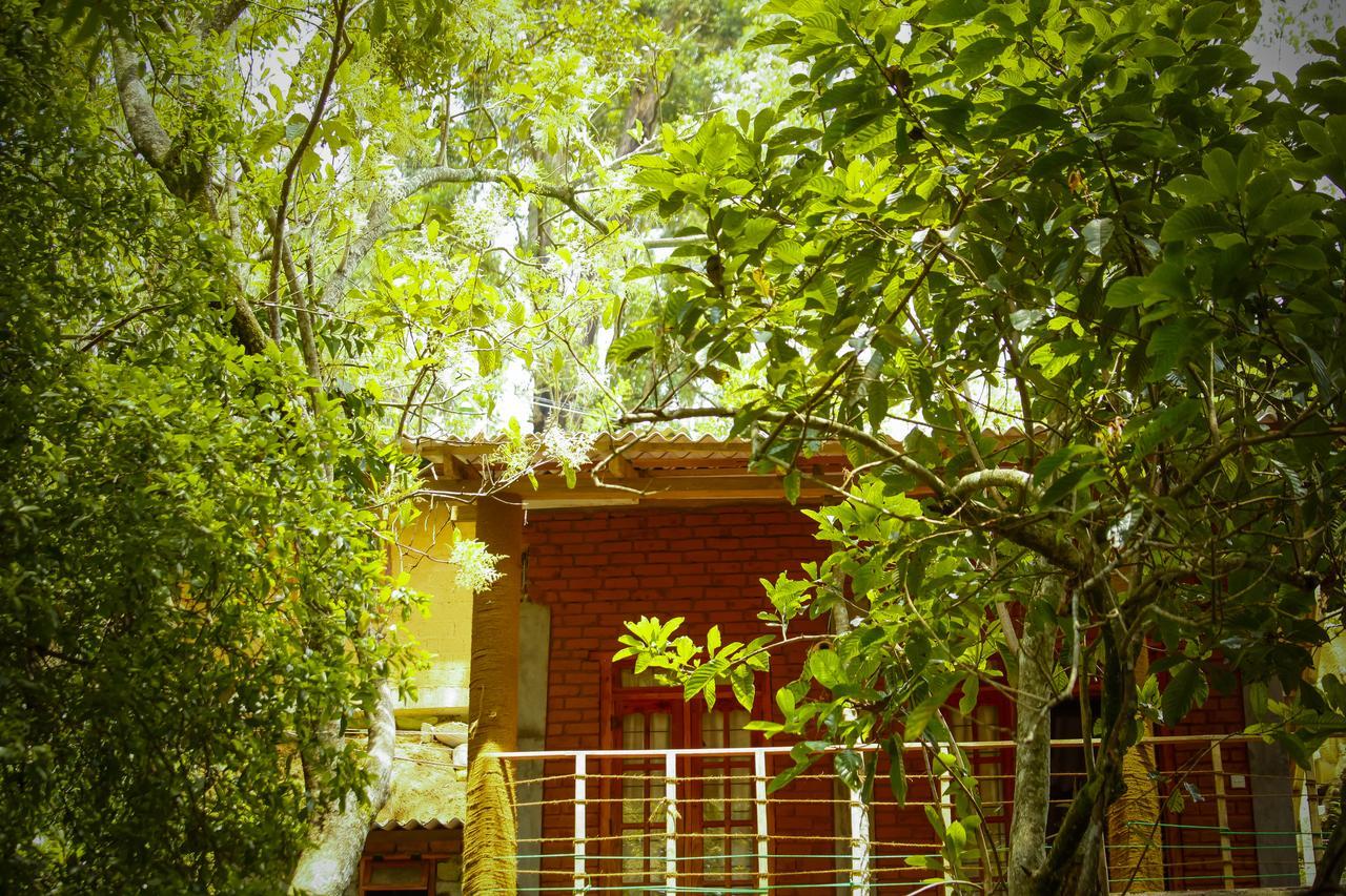 Ella Green Cottages Ngoại thất bức ảnh