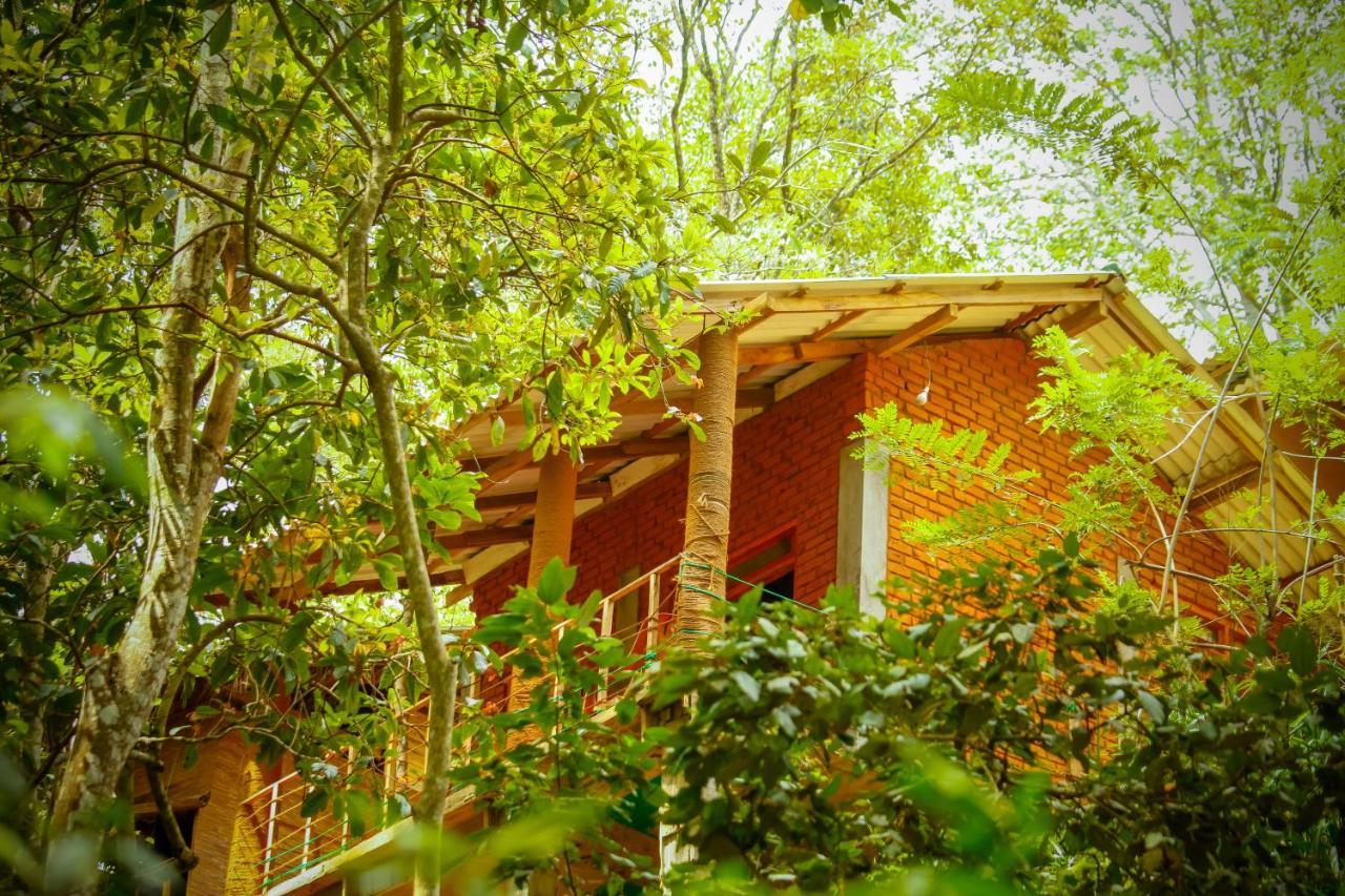 Ella Green Cottages Ngoại thất bức ảnh