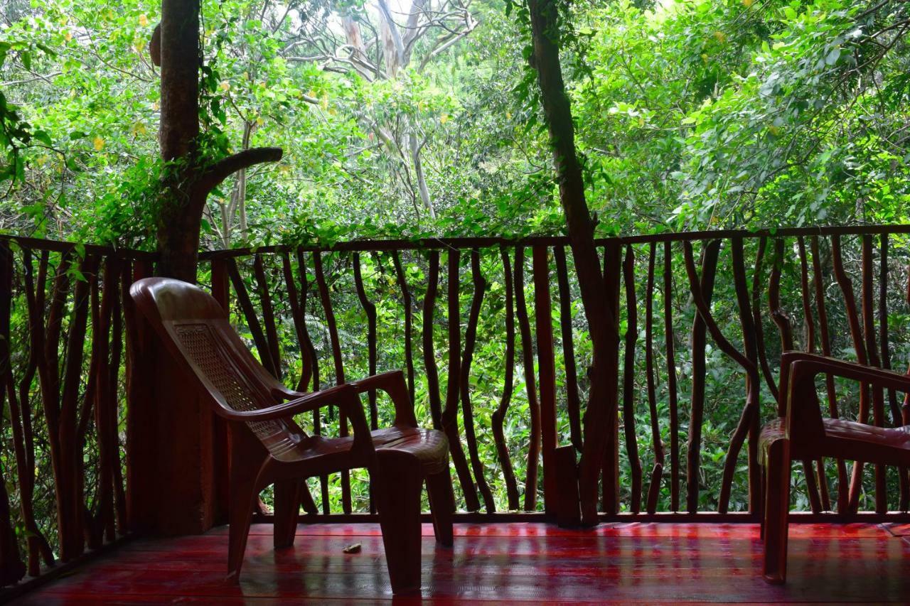 Ella Green Cottages Ngoại thất bức ảnh