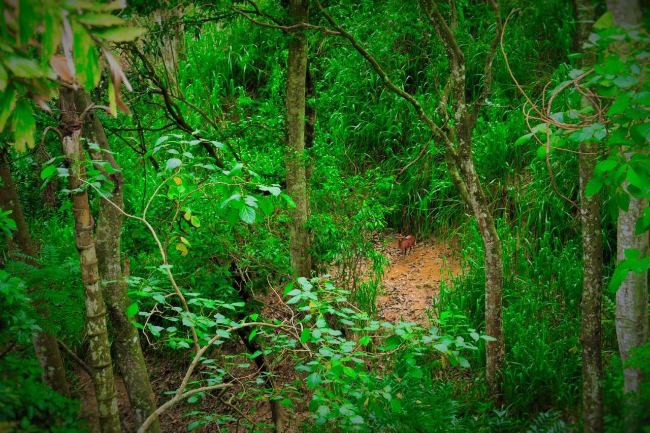 Ella Green Cottages Ngoại thất bức ảnh
