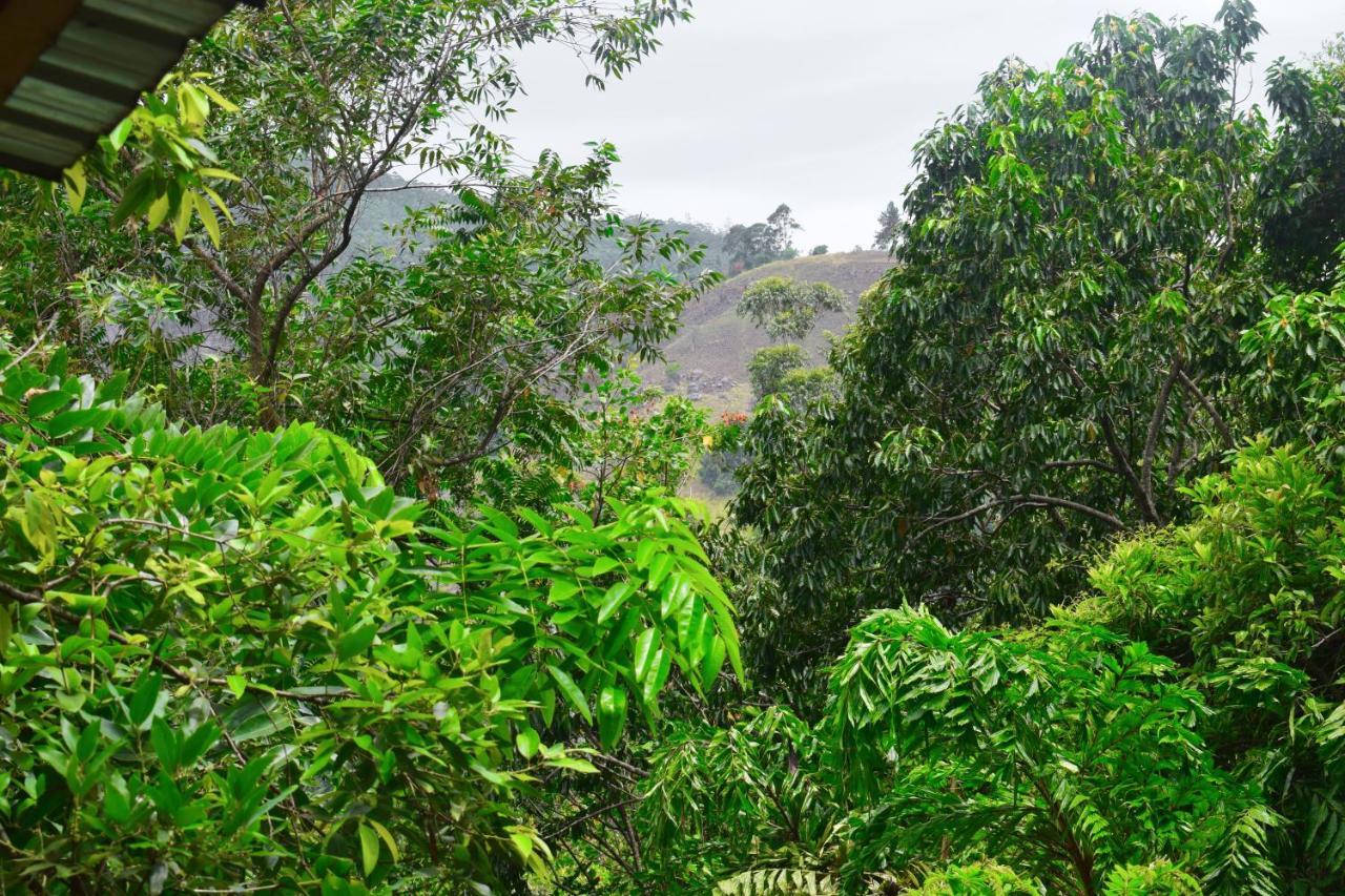 Ella Green Cottages Ngoại thất bức ảnh